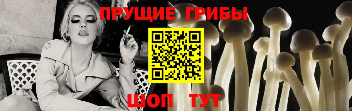 Коряжма  Псилоцибиновые грибы мицелий  Вход с VPN 